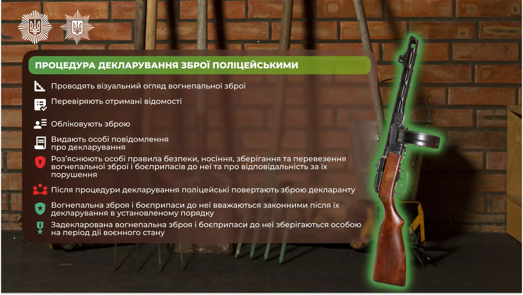 що потрібно знати про декларування зброї