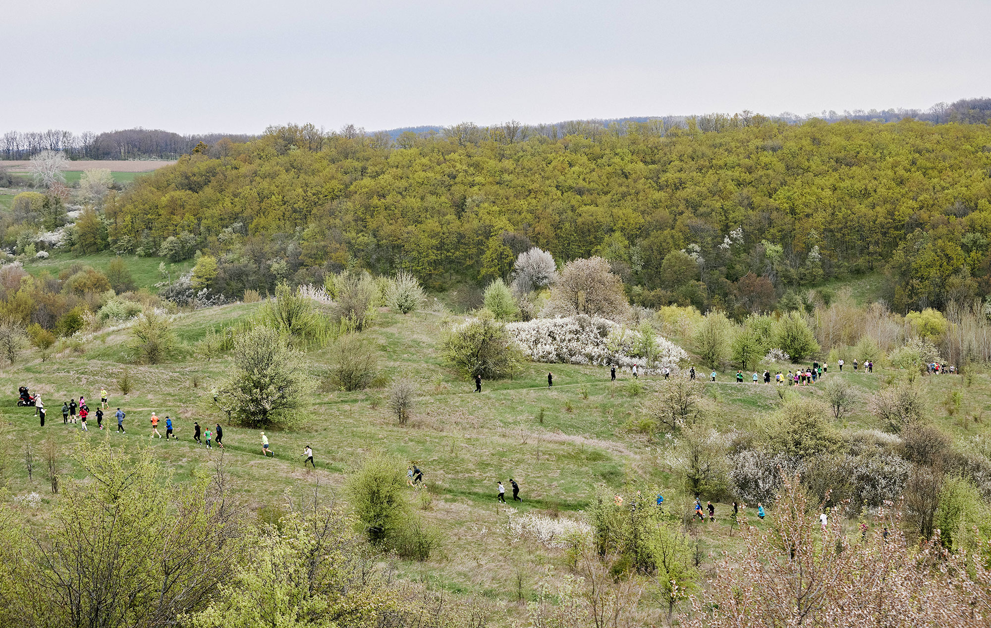місце забігу