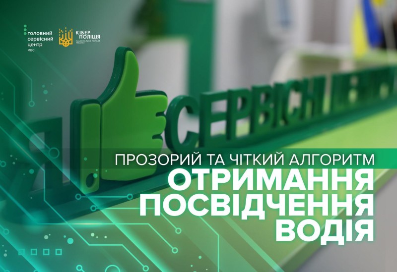 Посвідчення водія – як просто і законно отримати документ та не потрапити на шахраїв