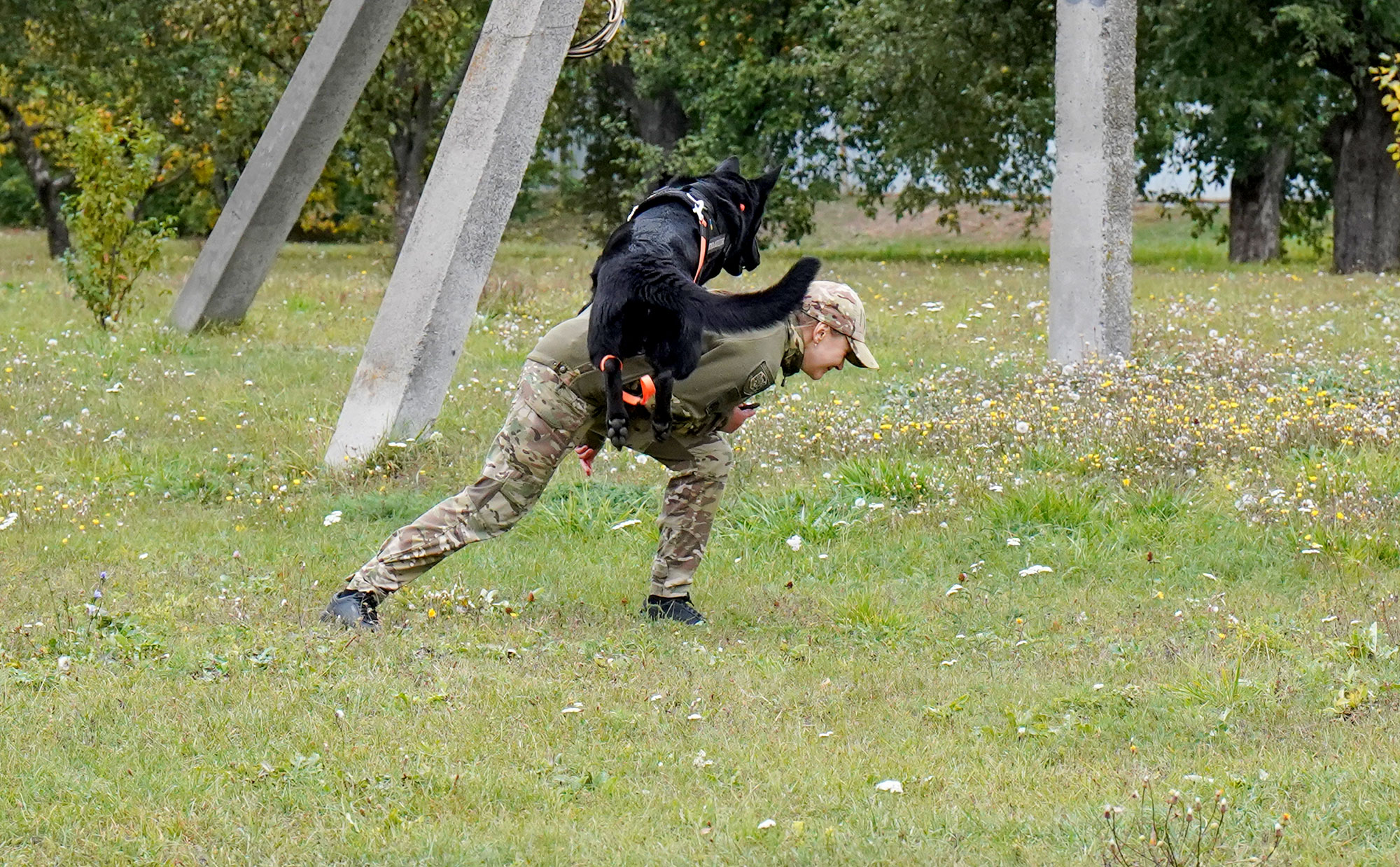 Каністерапія для поліцейських-захисників та їхніх родин