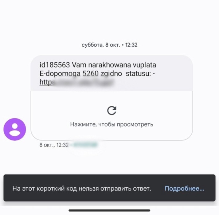 кіберполіцейські викрили учасників злочинної організації у шахрайстві під виглядом державних виплат