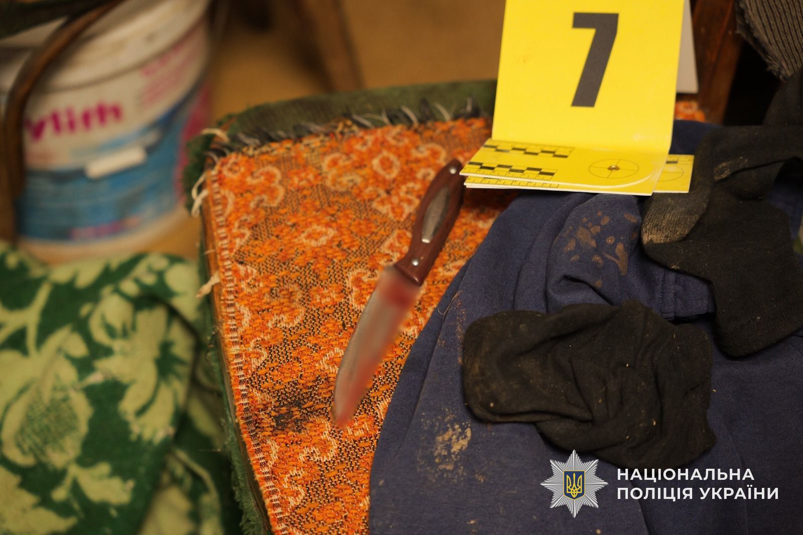 Поліція скерувала до суду справу щодо жорстокого вбивства подружжя пенсіонерів на Берегівщині — на лаві підсудних опиниться група осіб