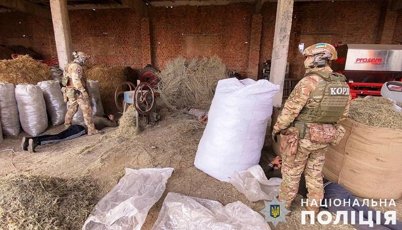на вінниччині судитимуть озг, фігуранти якої заробляли на незаконній порубці лісу