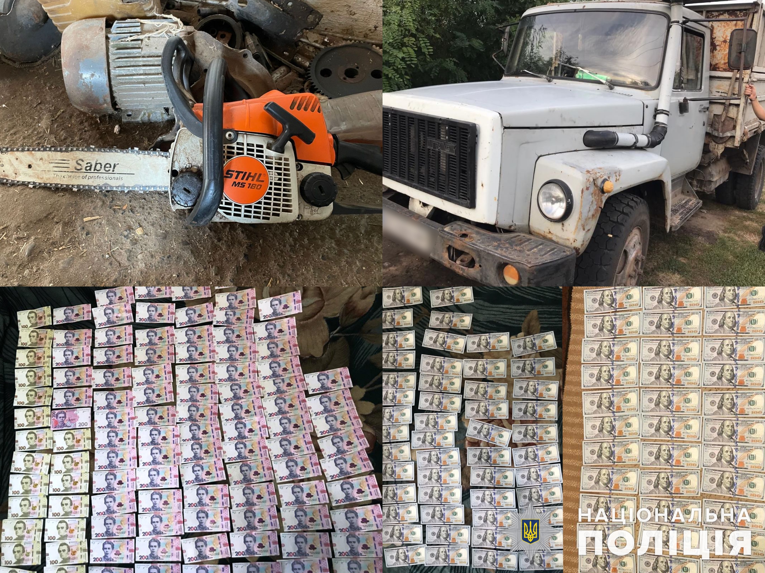 на вінниччині судитимуть озг, фігуранти якої заробляли на незаконній порубці лісу