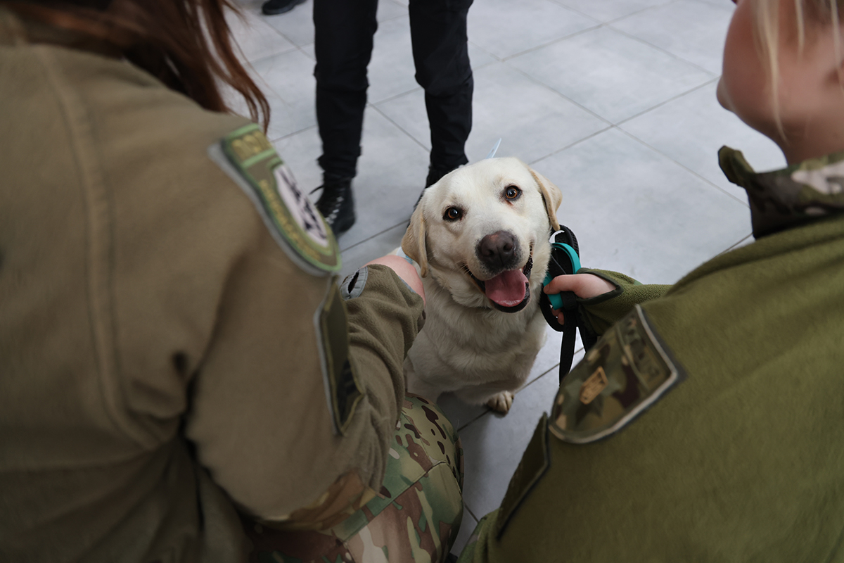 собака сидить між людьми