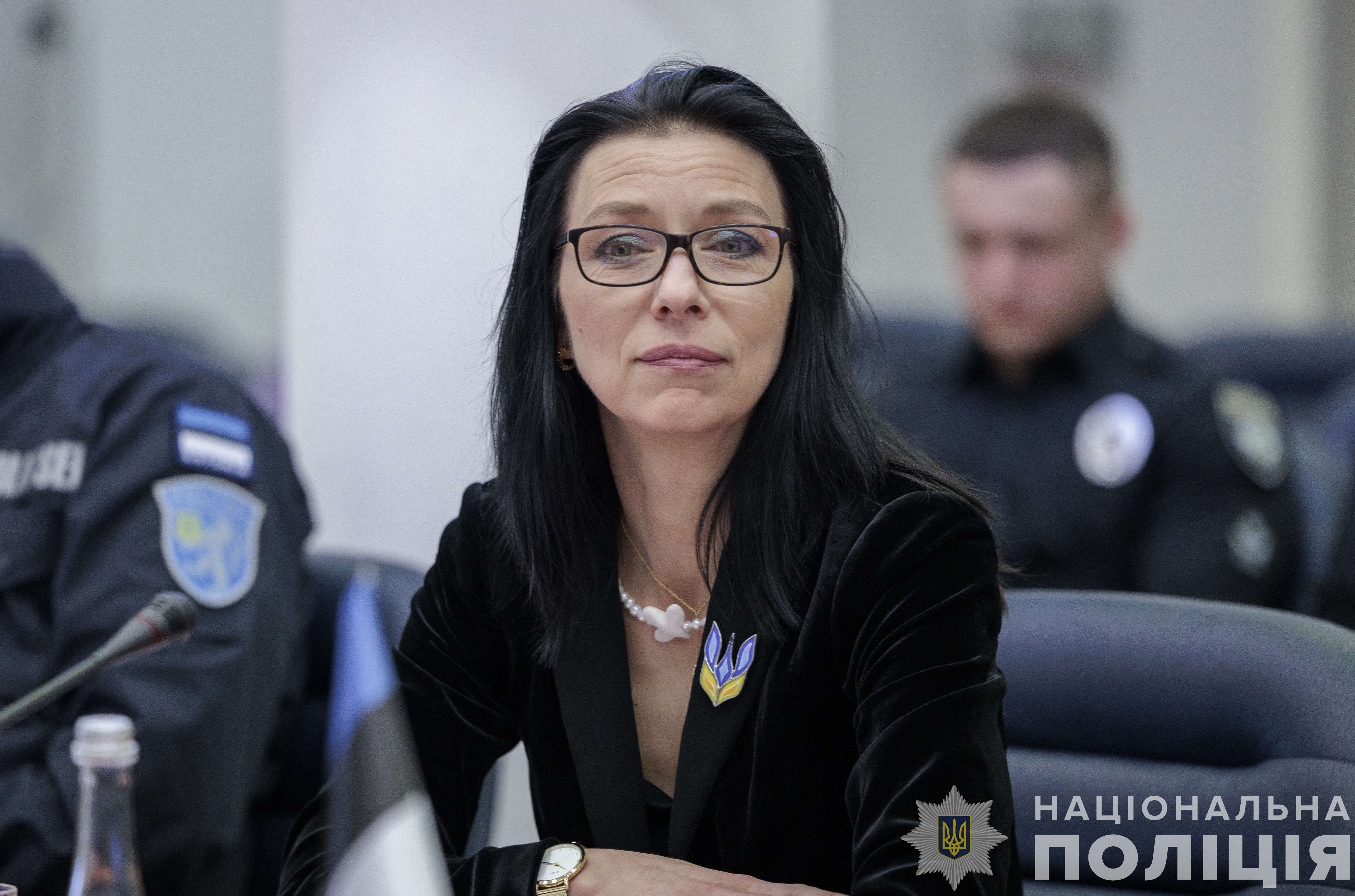 українські та естонські поліцейські поновили реалізацію спільного безпекового проєкту