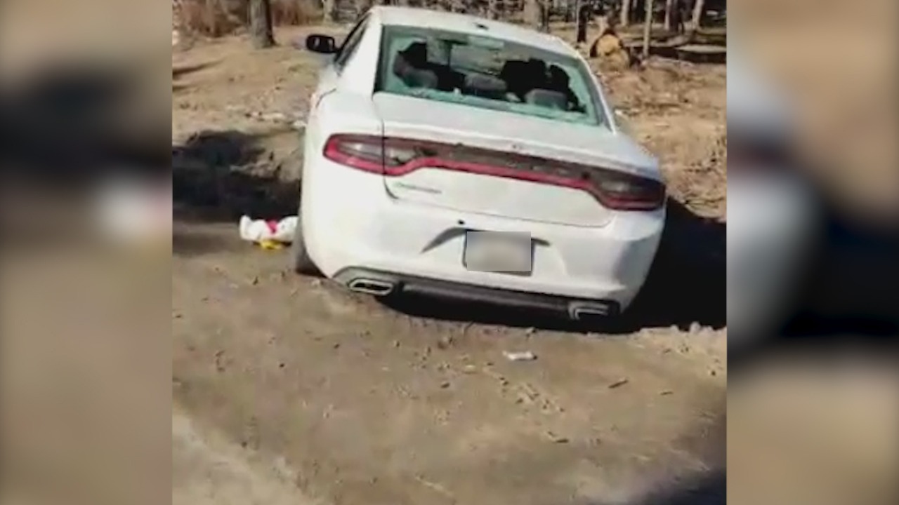 11 вбитих та 15 поранених на київщині: оголошено підозру військовим рф, які влаштували справжнє «полювання» людей 11 вбитих та 15 поранених на київщині: оголошено підозру військовим рф, які влаштували справжнє «полювання» людей