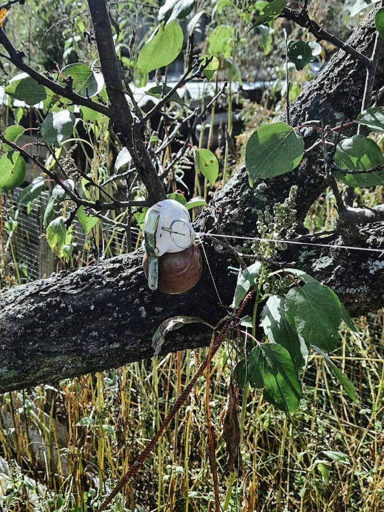 за минулий тиждень зведені загони вибухотехніків нацполіції вилучили понад 2,5 тисячі вибухонебезпечних предметів на деокупованих територіях харківщини