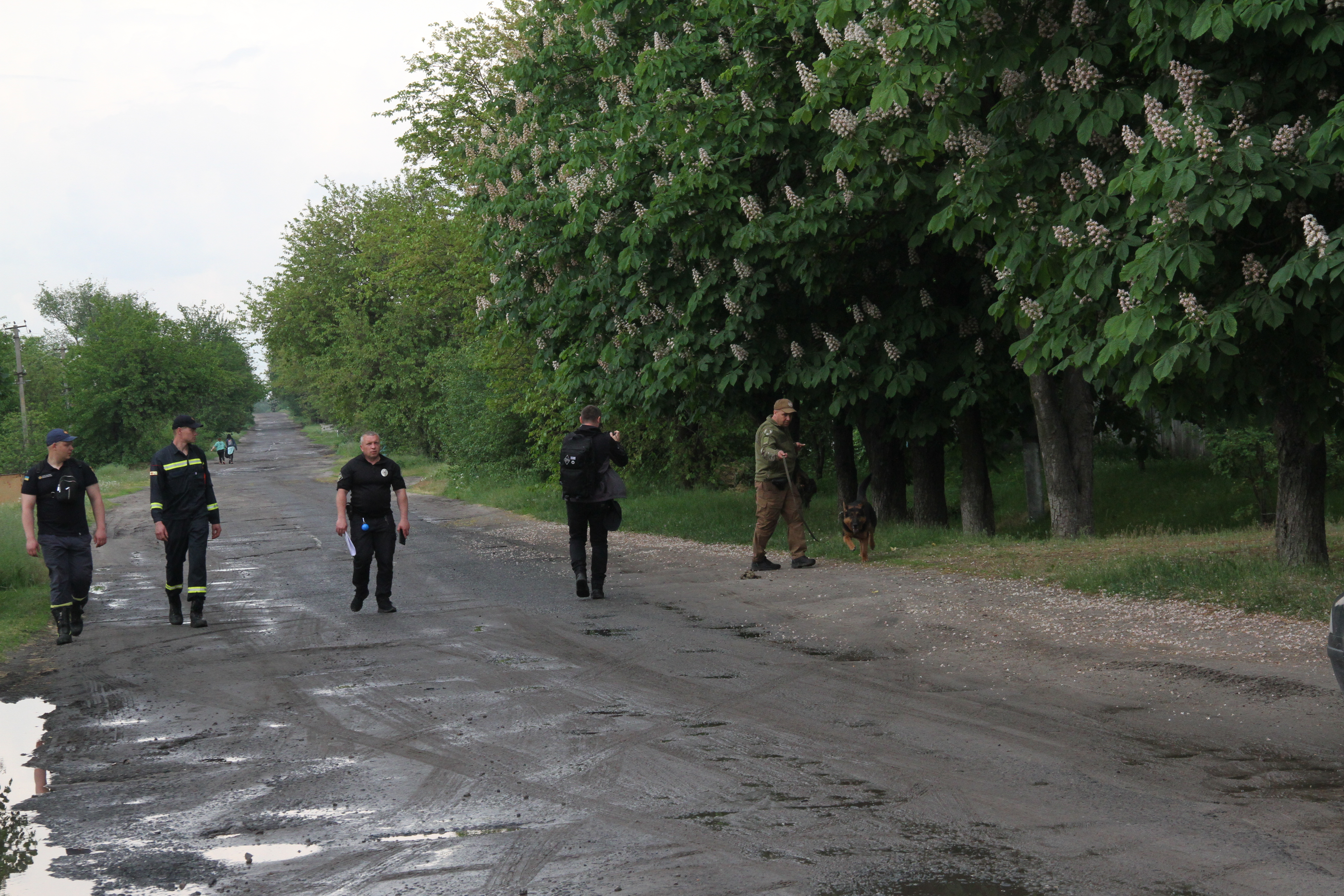 Вже добу на Харківщині правоохоронці та волонтери проводять ретельні пошукові заходи зниклої Віолетти Мужечук