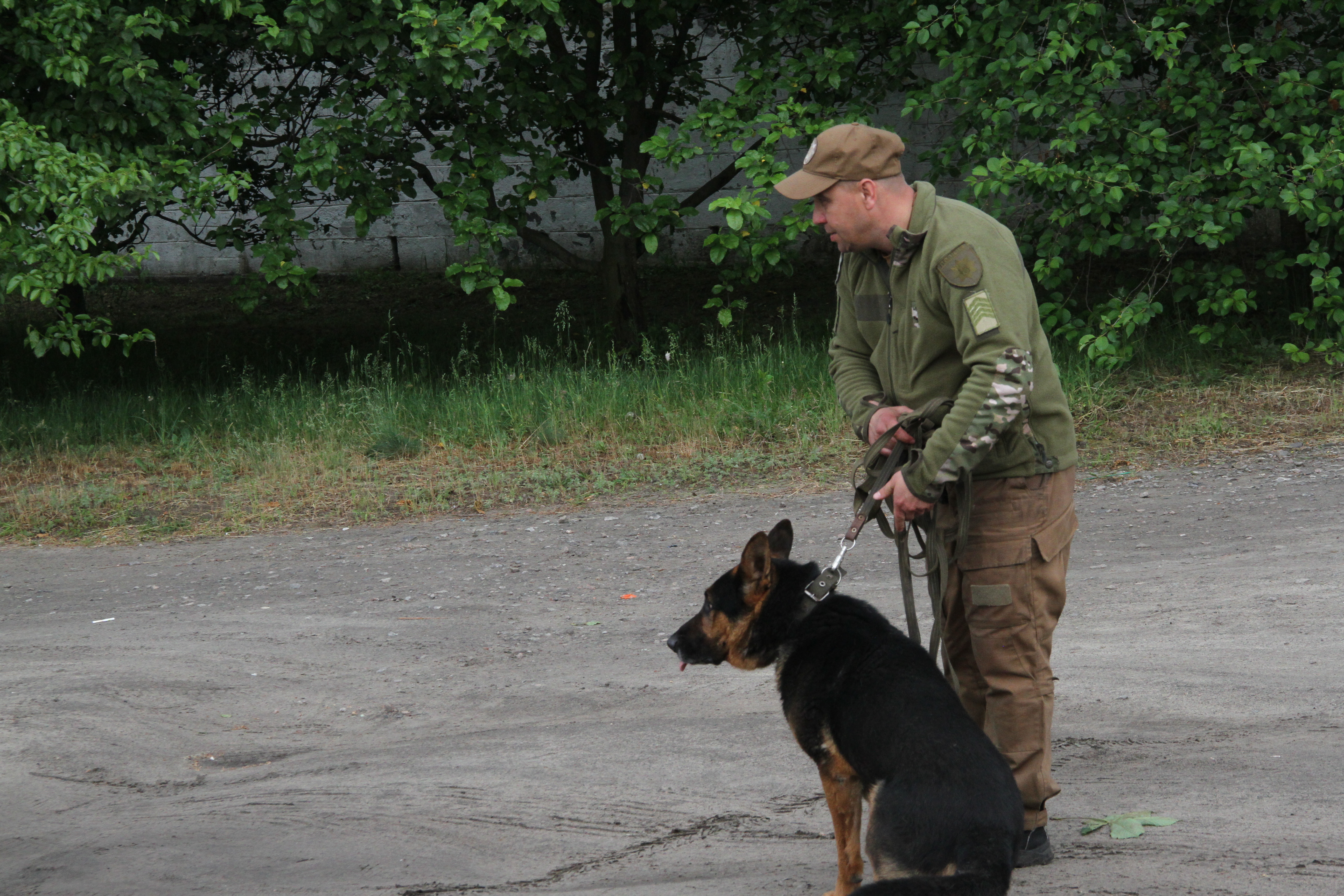 Вже добу на Харківщині правоохоронці та волонтери проводять ретельні пошукові заходи зниклої Віолетти Мужечук