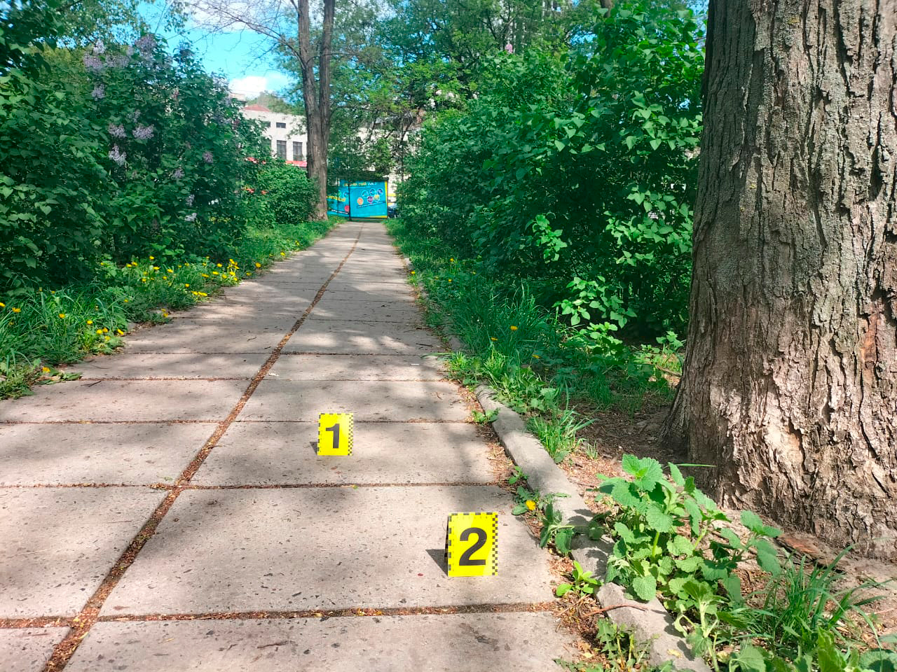 у києві рецидивіст пограбував пенсіонерку: поліцейські затримали нападника впродовж доби