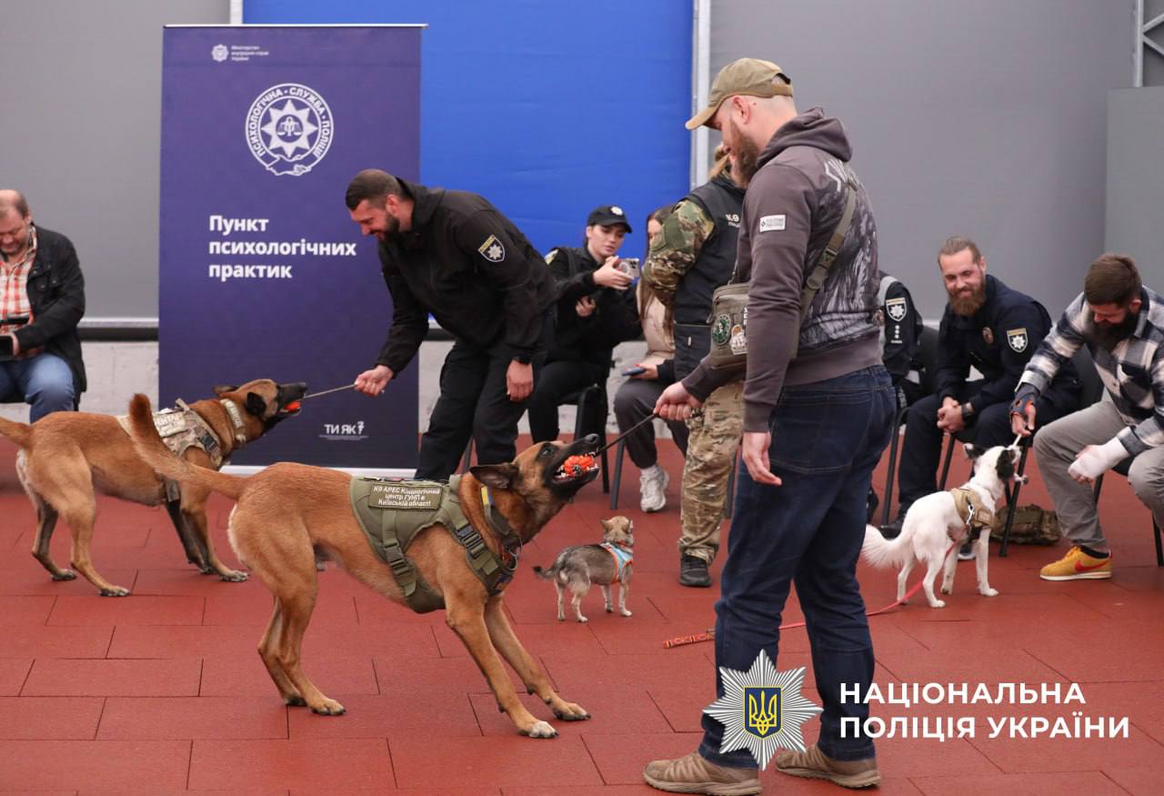 На фото зображені учасники зустрічі, які граються зі службовими собаками м'ячиками