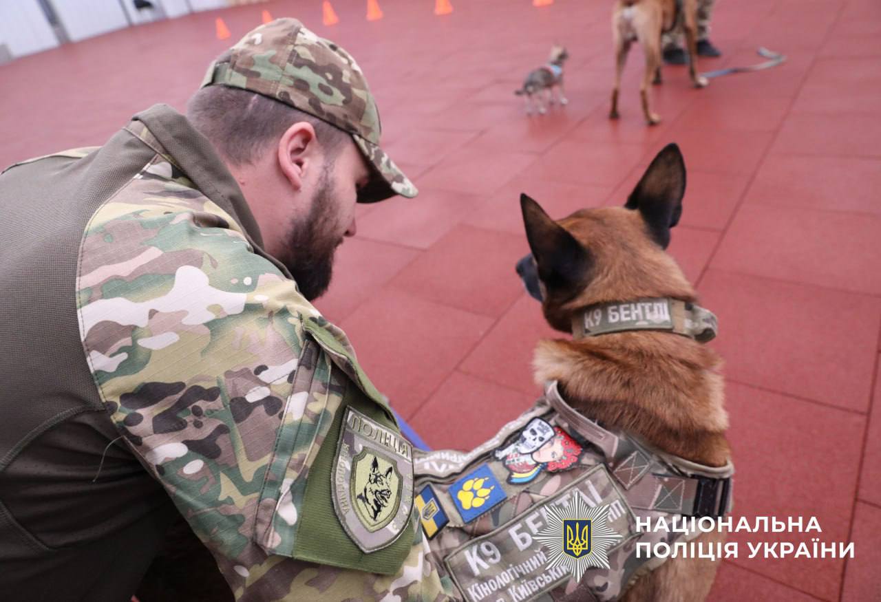 На фотот зображений службовий собака, який стоїть біля працівника поліції та слухає його.