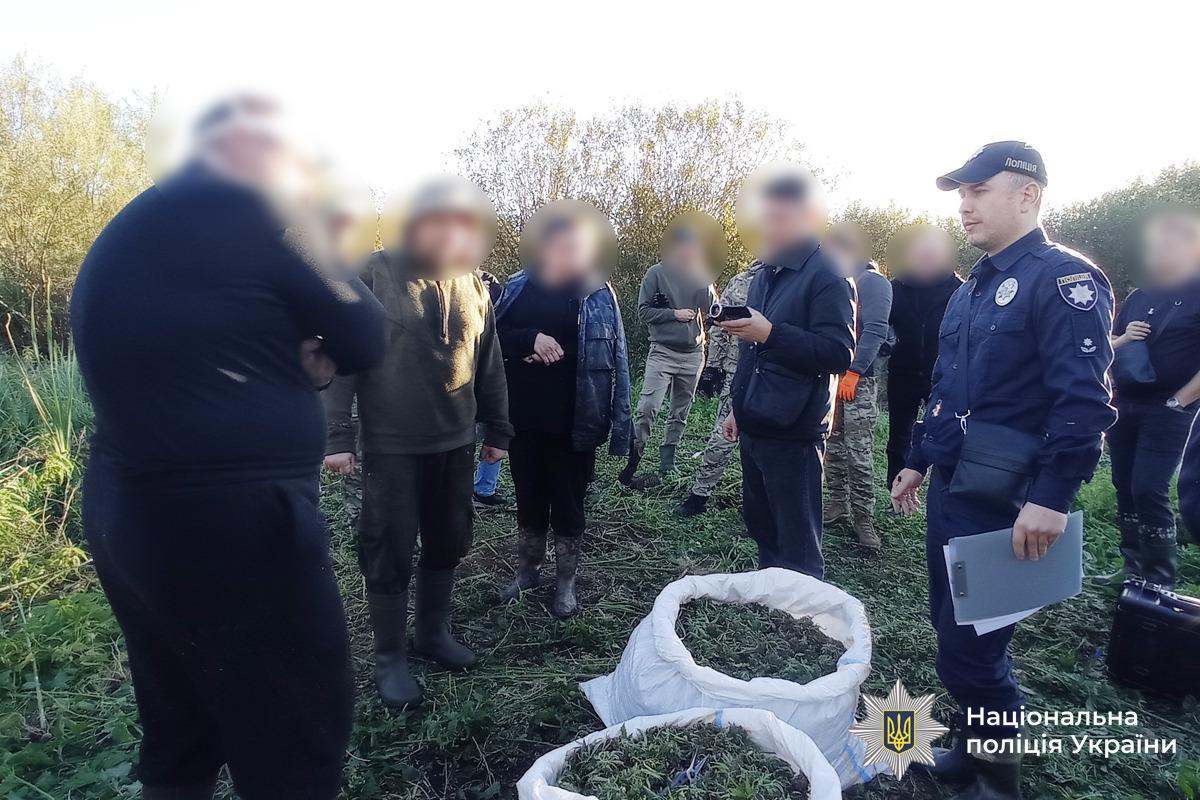 На фото - поліцейський, підозрювані у торгівлі наркотиками, вилучені коноплі в мішках.