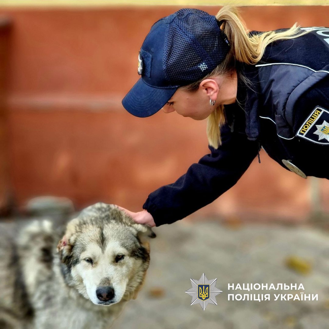 Поліцейська грає з собакою