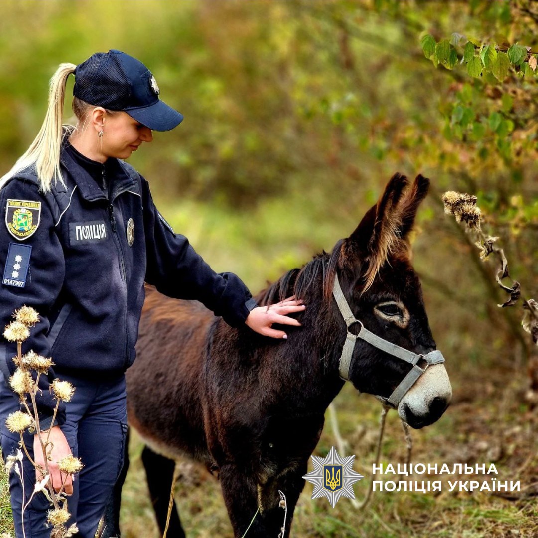 Поліцейська поруч з віслюком