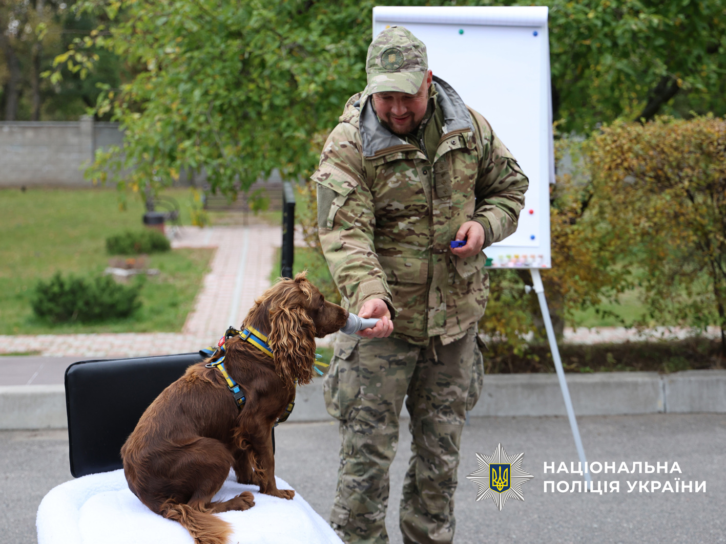 В Чернігові провели сеанс емоційної підтримки для поранених захисників, які проходять реабілітацію у відомчій медустанові
