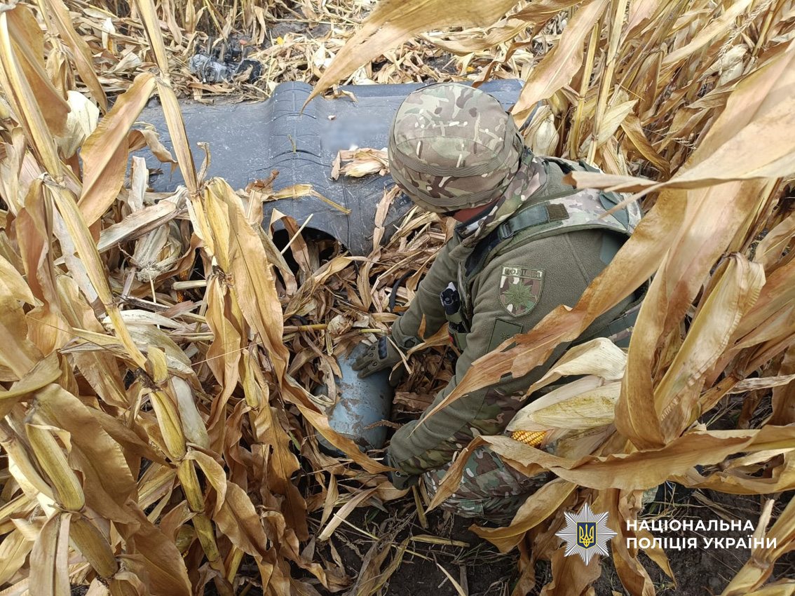 Вибухотехніки поліції Чернігівщини знешкодили бойові частини ворожих ударних безпілотників