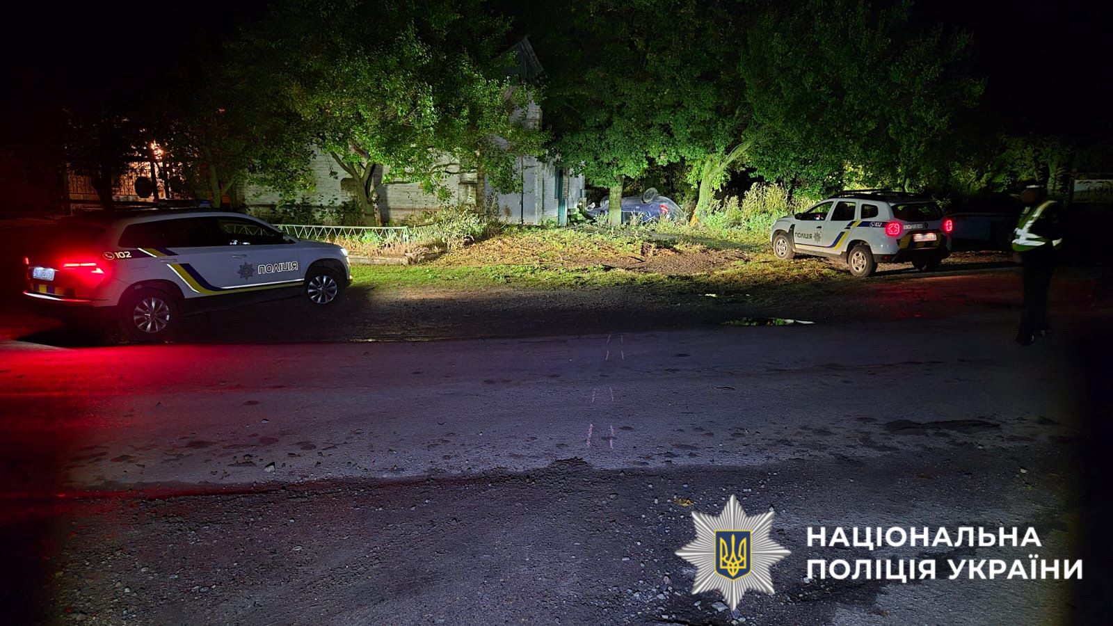 На фото перекинутий автомобіль на узбіччі та поліцейські авто на дорозі.