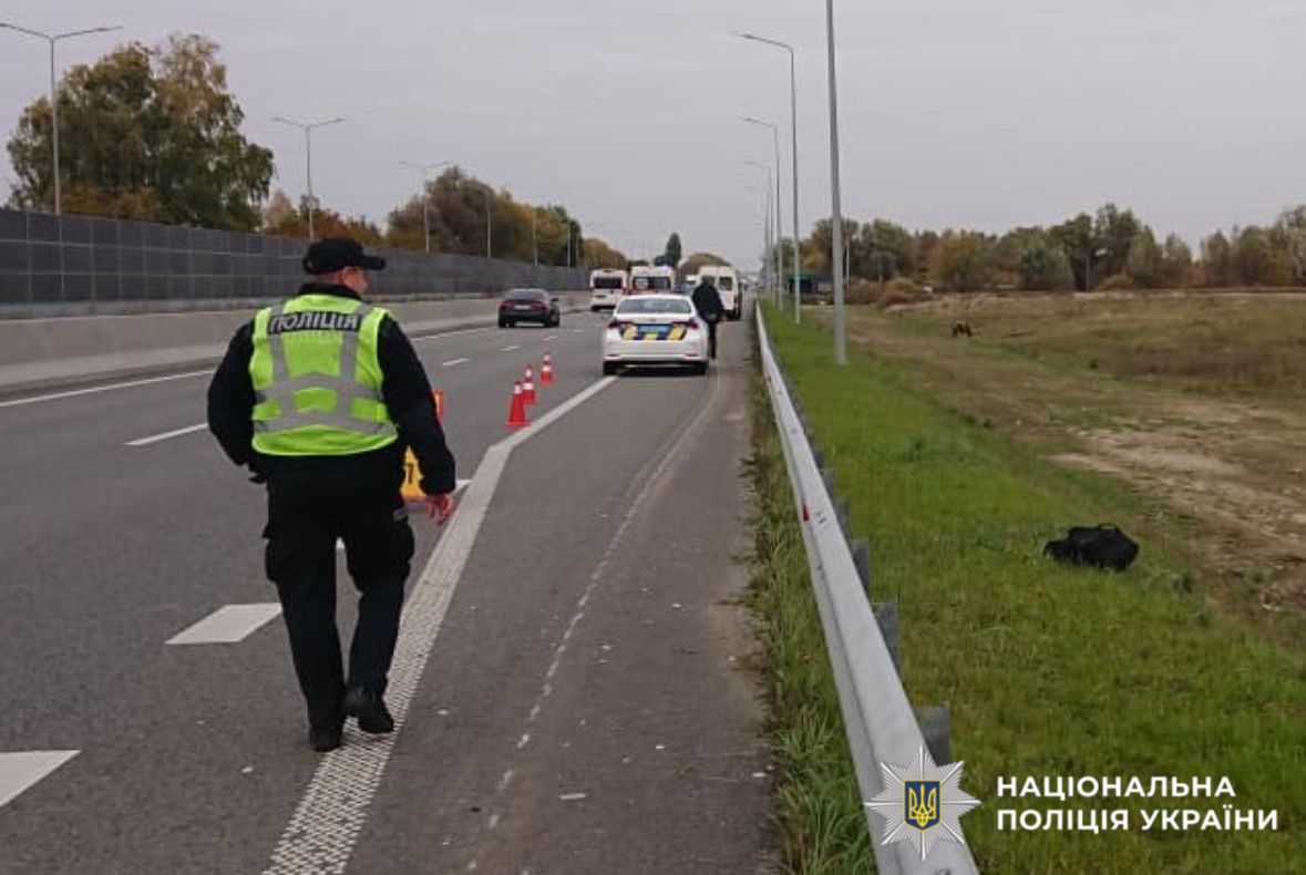 Фото з місця ДТП. Узбіччя дороги, поліцейський та поліцейський автомобіль.