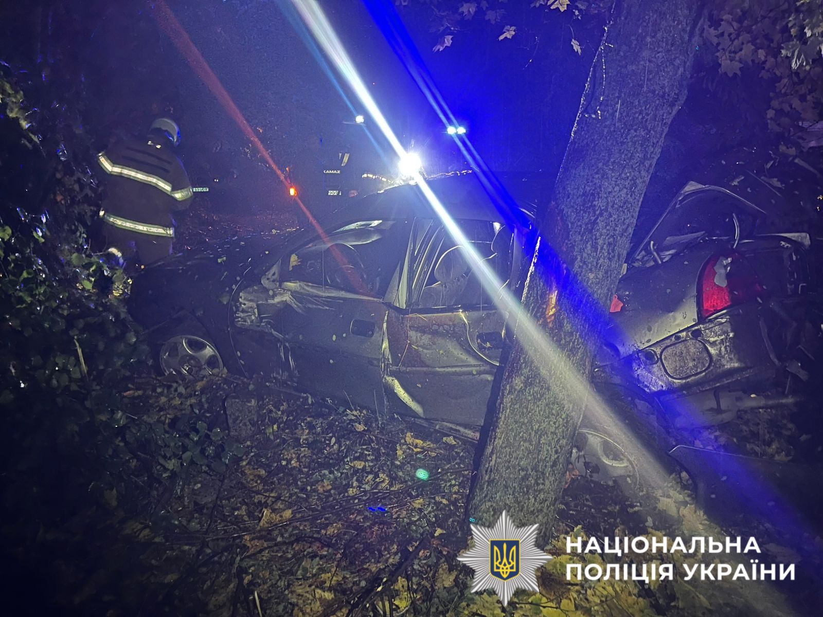 На фото зображений автомобіль який потрапив в ДТП