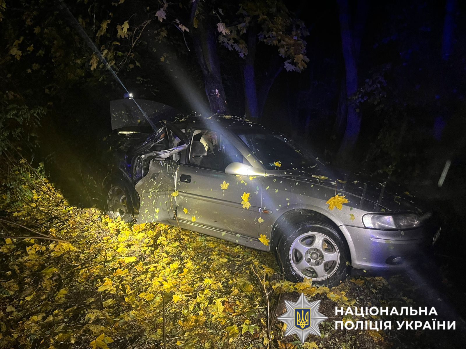 На фото зображений автомобіль який потрапив в ДТП