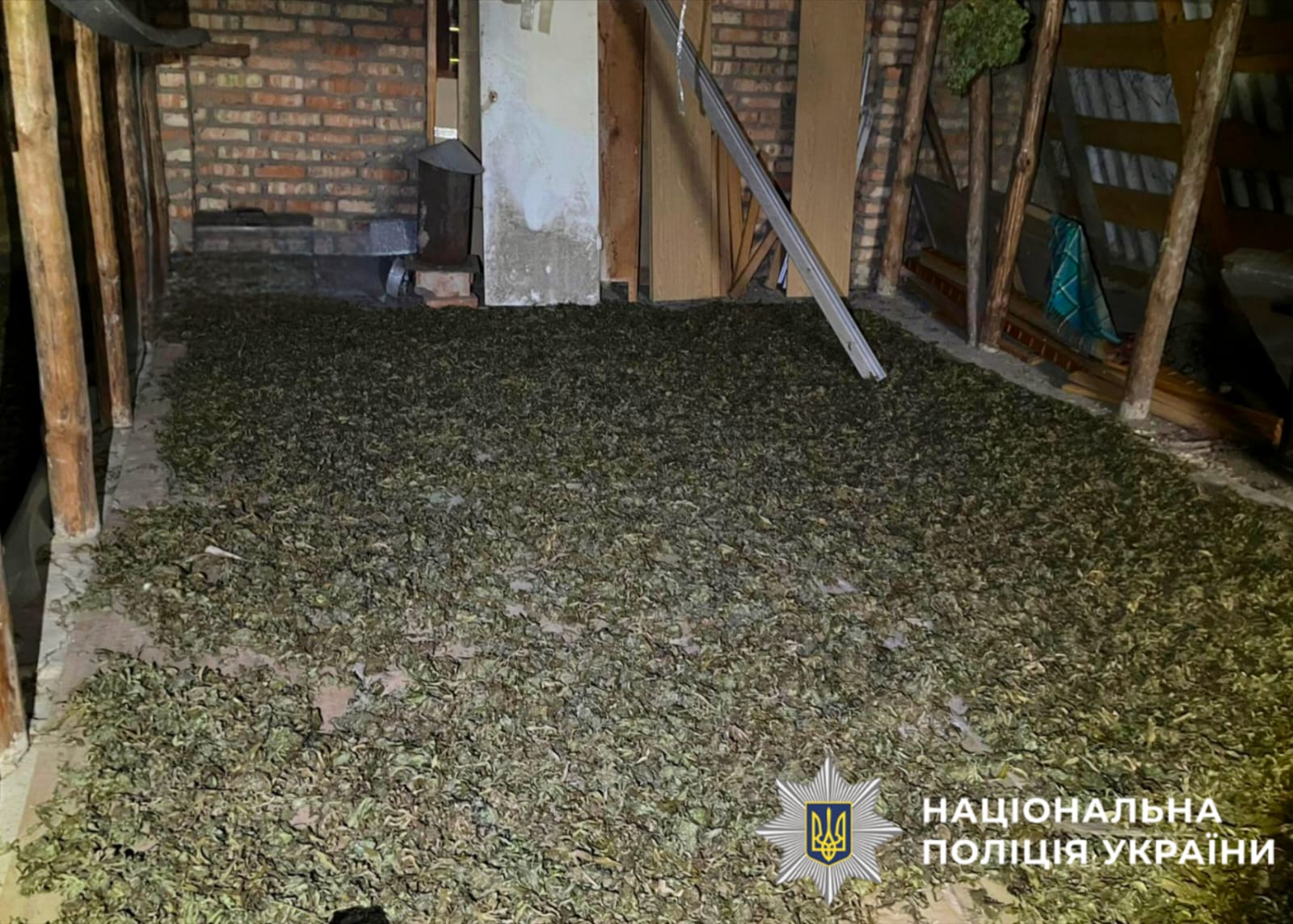 На фото зображено наркотичний засіб - канабіс, який поліцейські виявили та вилучили під час обшуку у зловмисника.