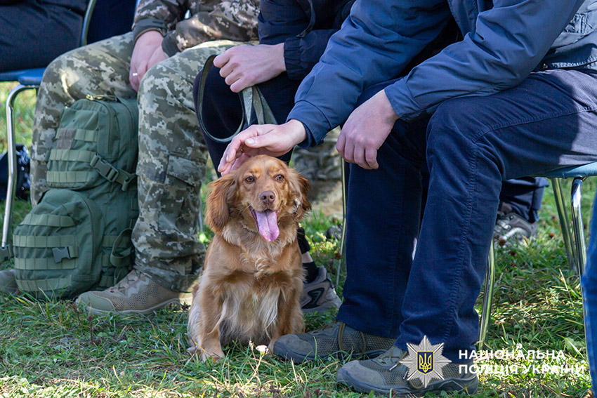 У Хмельницькому відомчі психологи організували сеанс каністерапії для поранених правоохоронців
