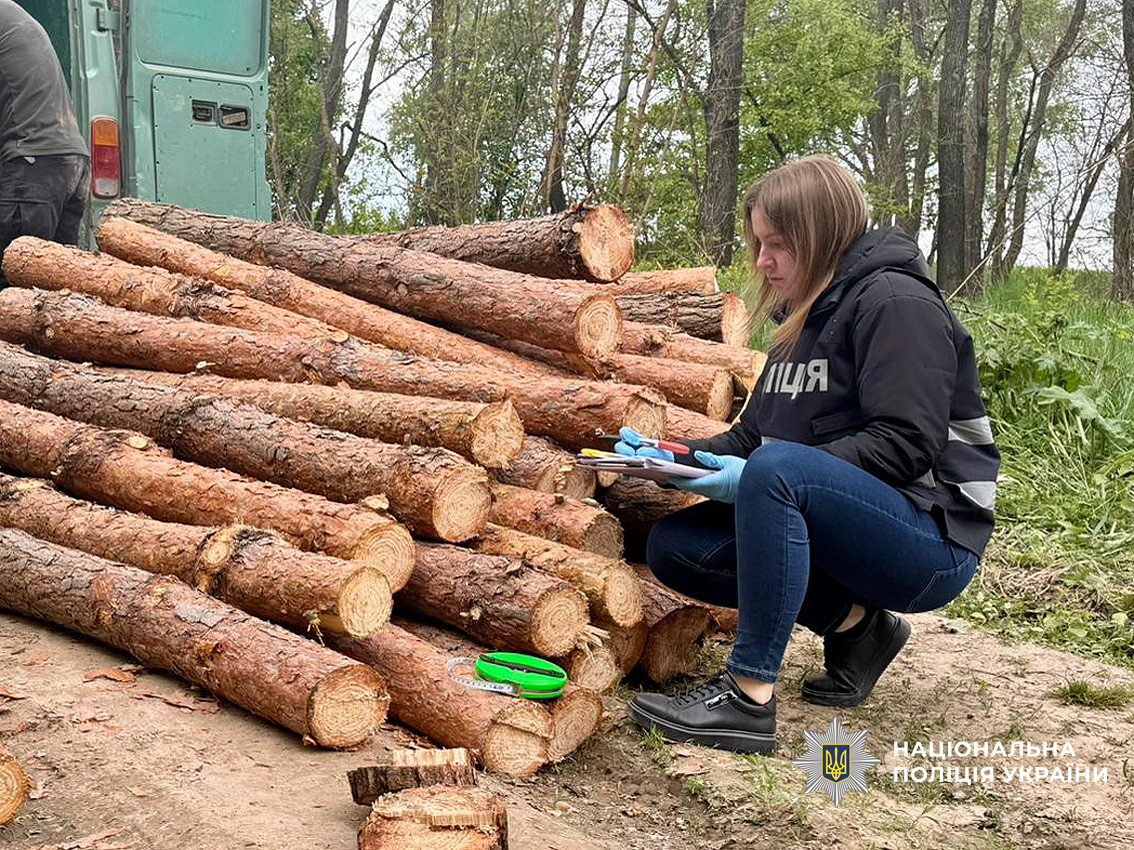 Поліція Чернігівщини повідомила про підозру групі «чорних лісорубів» за масштабні порубки деревини на сотні тисяч гривень