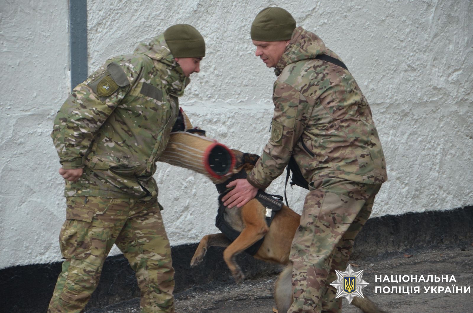 На фотографії зображено поліцейські, які демонструють навички службового собаки.