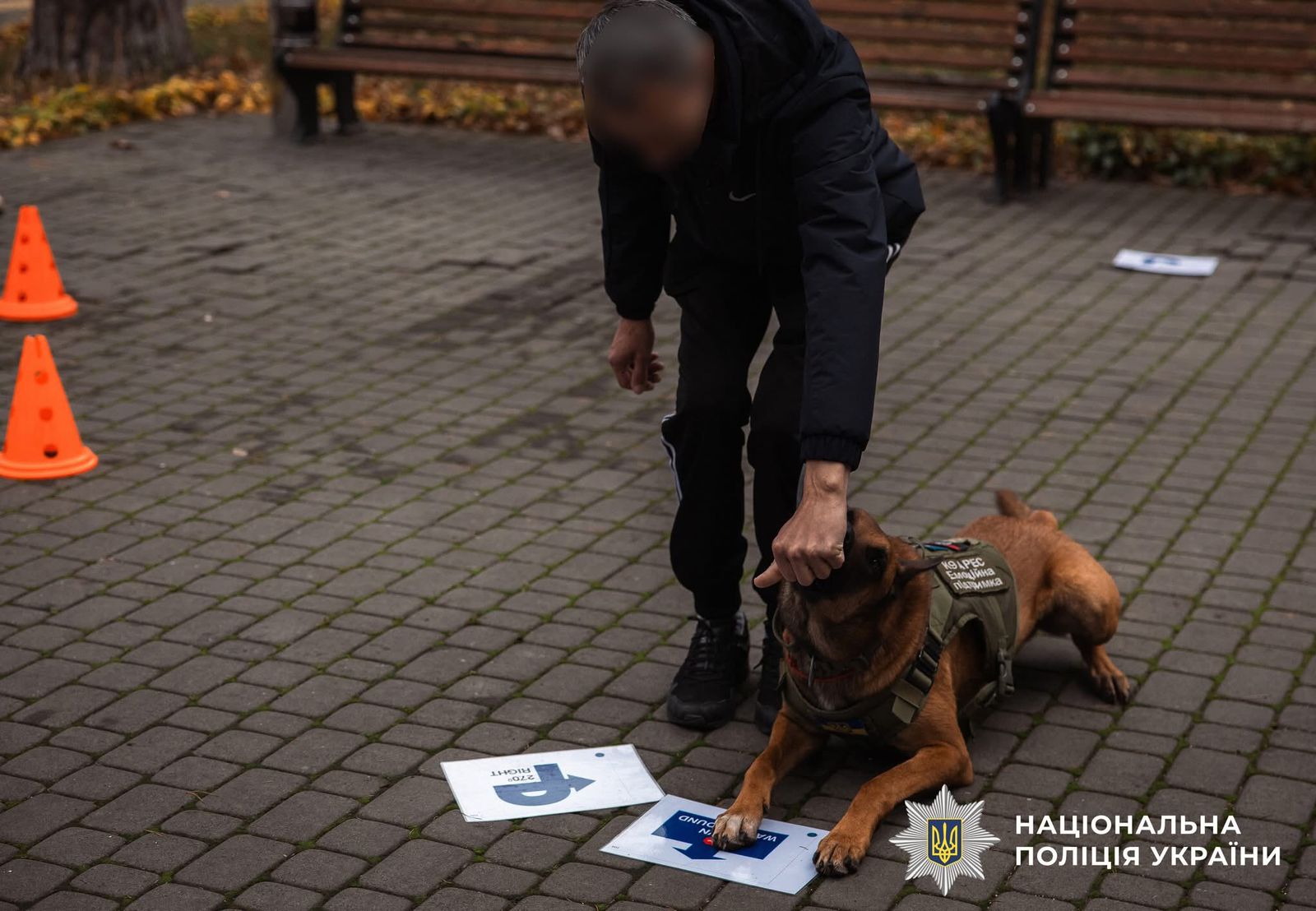 Фото з проведеного заходу.