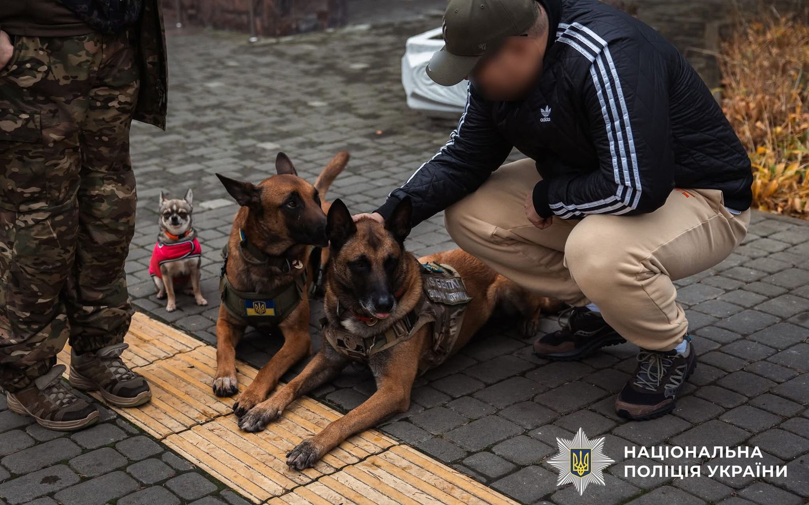 Фото з проведеного заходу.