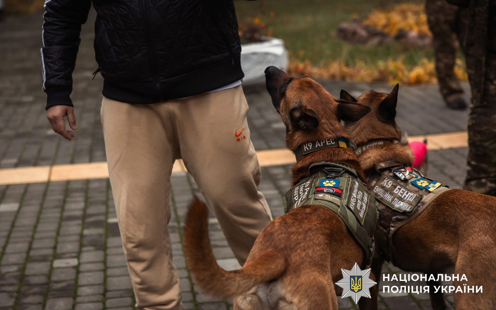 Фото з проведеного заходу.
