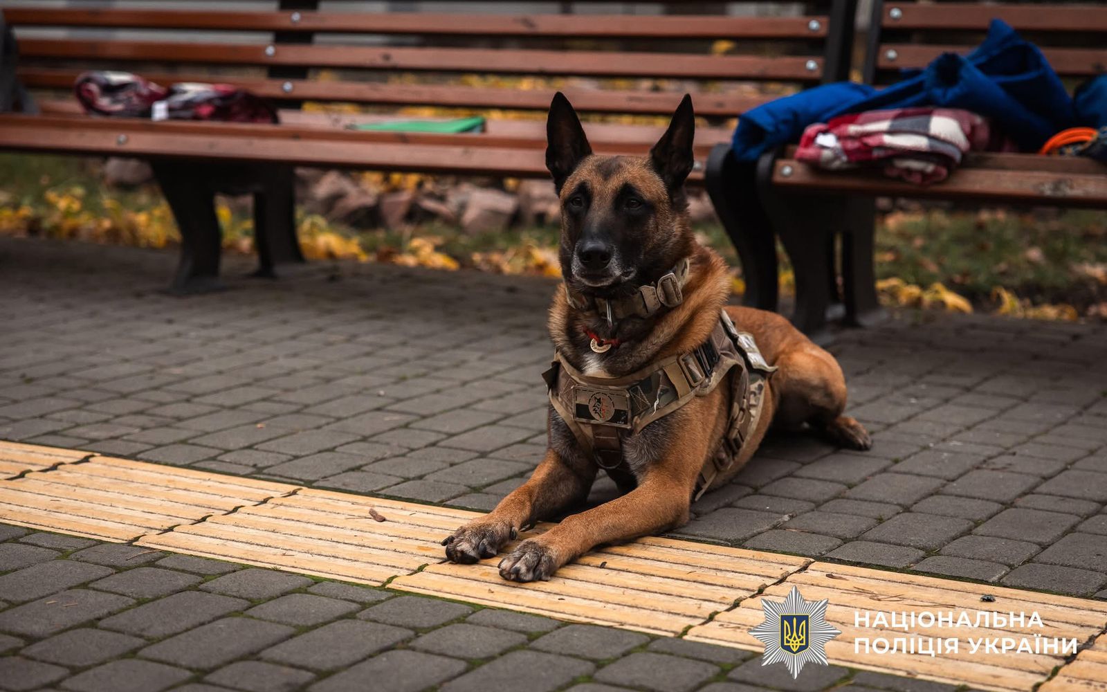 Фото з проведеного заходу.