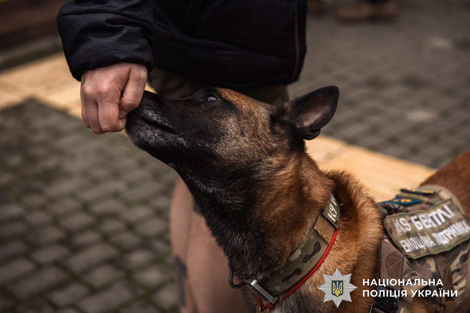 Фото з проведеного заходу.