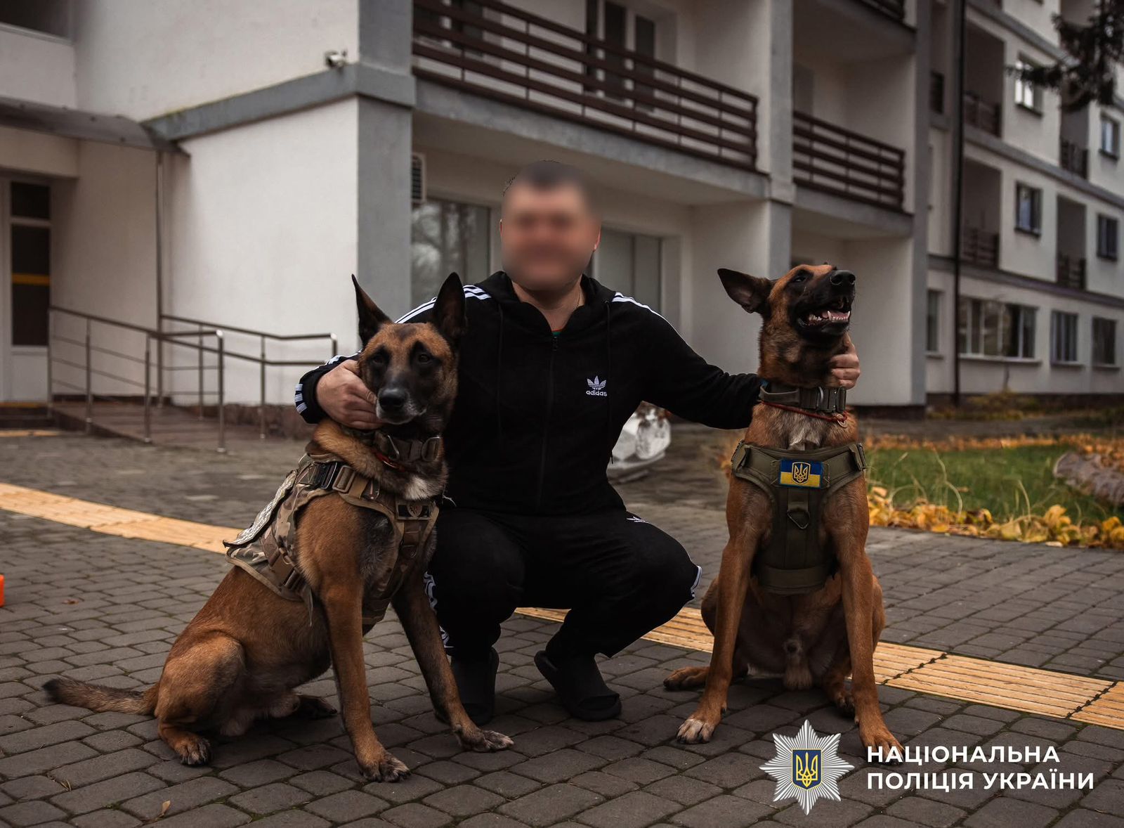 Фото з проведеного заходу.