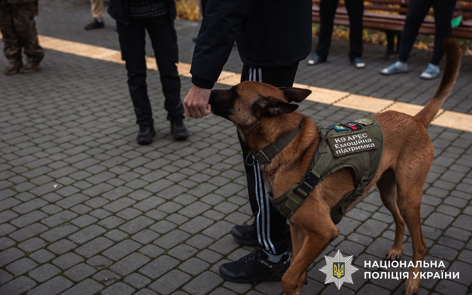 Фото з проведеного заходу.