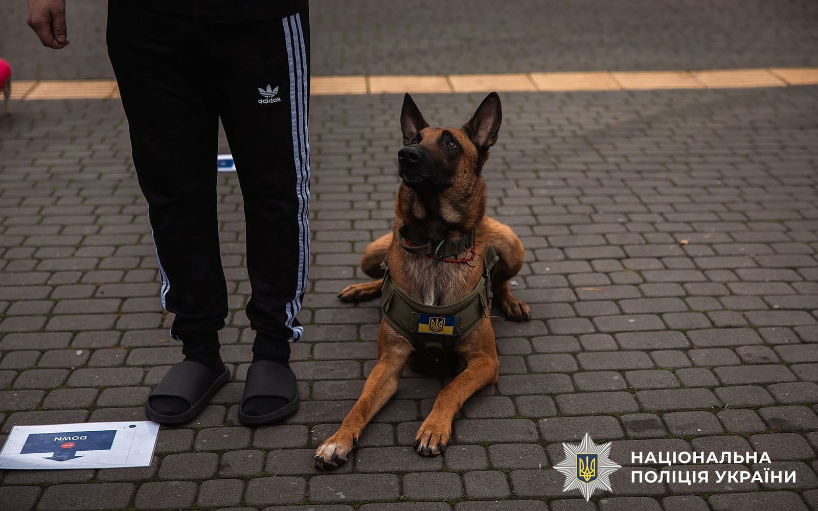 Фото з проведеного заходу.