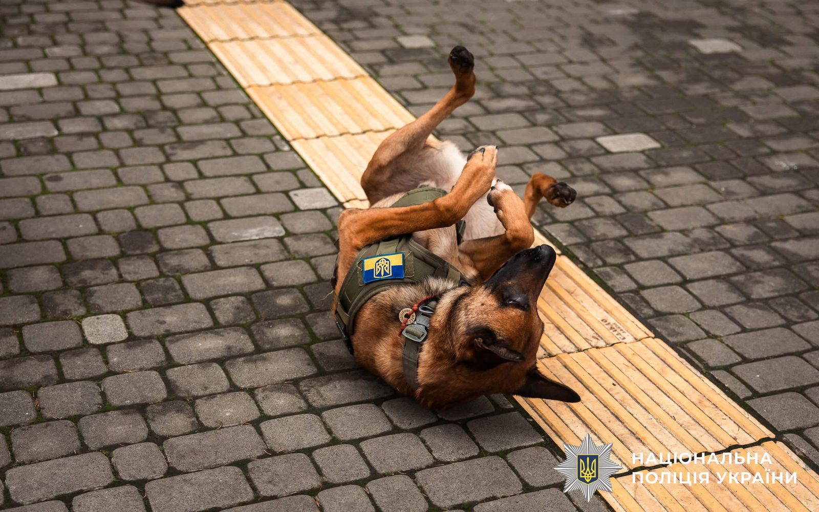 Фото з проведеного заходу.