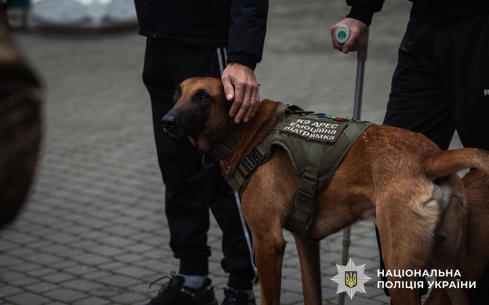 Фото з проведеного заходу.