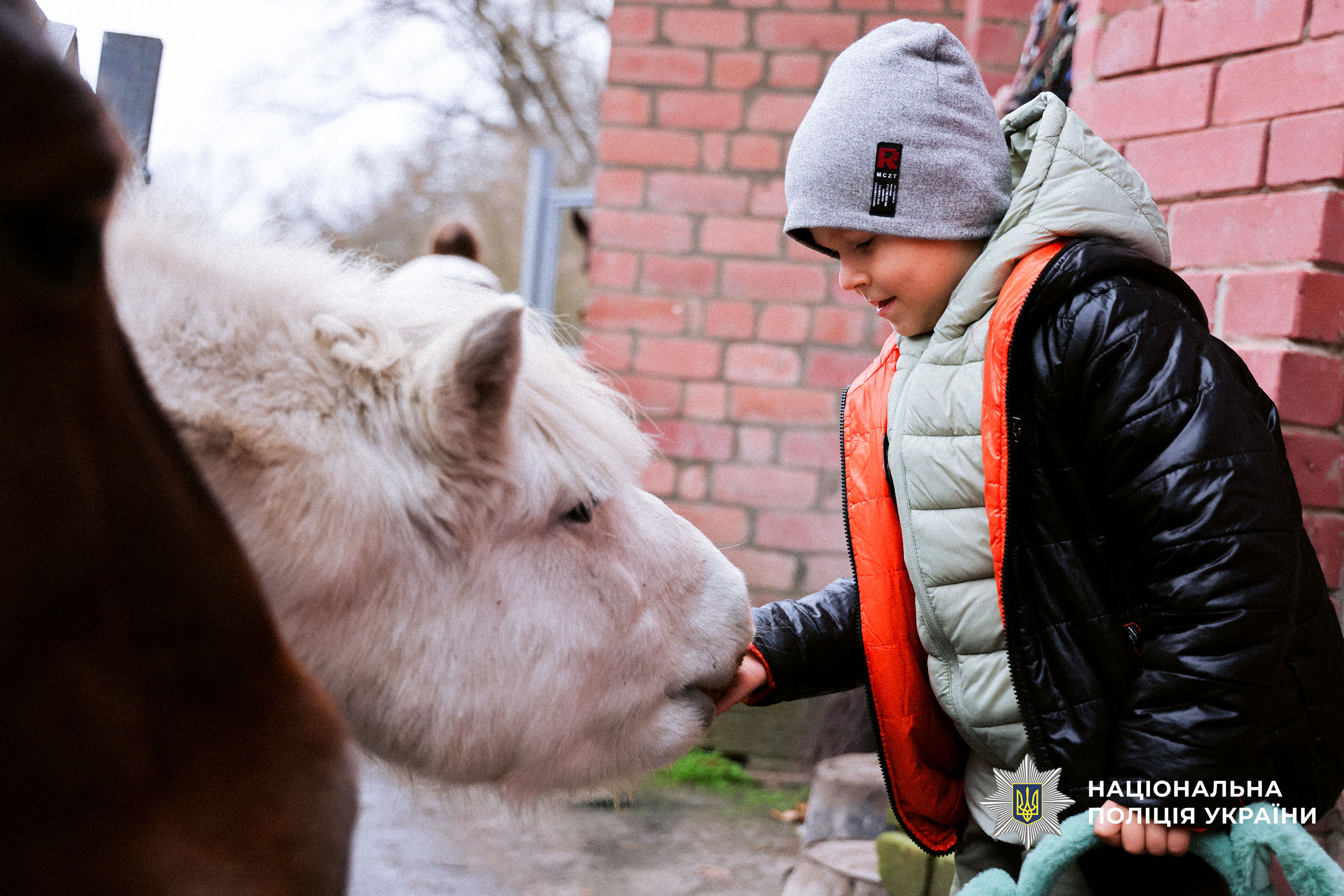 Поліцейські Чернігівщини організували для родин загиблих побратимів реабілітаційний захід у кінно-спортивному клубі