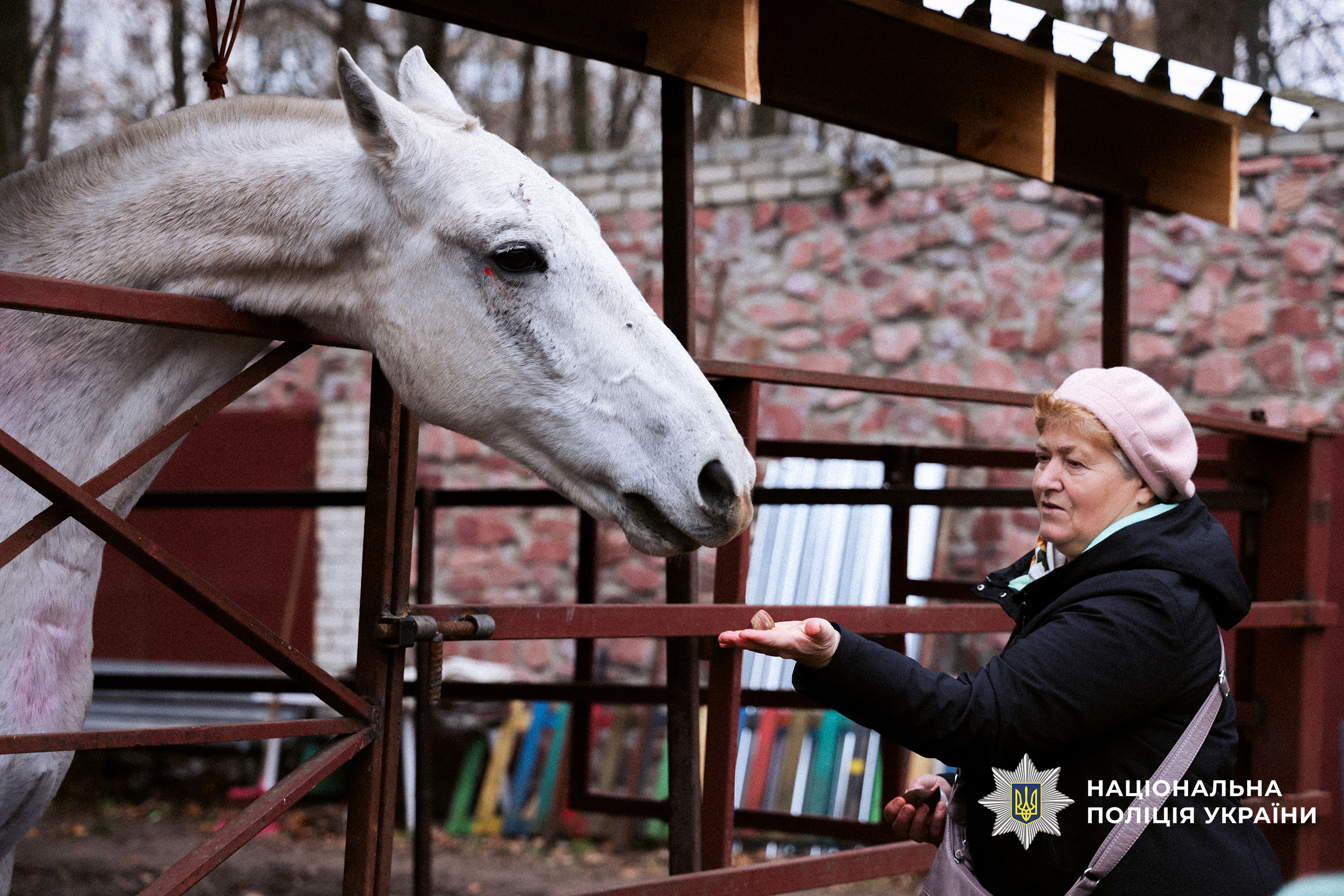 Поліцейські Чернігівщини організували для родин загиблих побратимів реабілітаційний захід у кінно-спортивному клубі