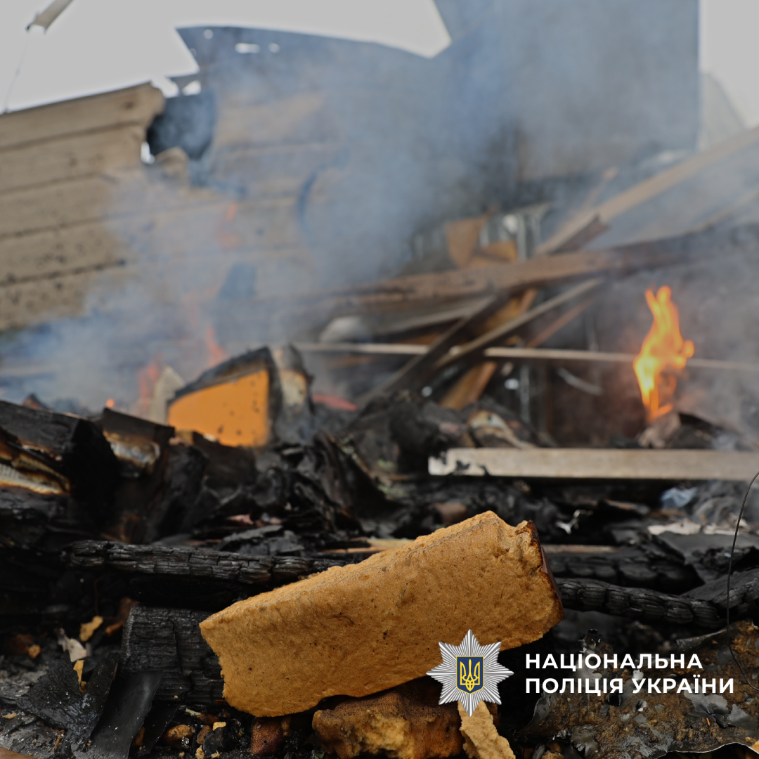 Палаючі дитячі книжки