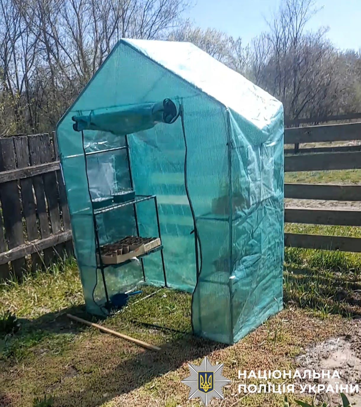 На фото зображена палатка, яка використовувалась як знаряддя для вирощування конопель.