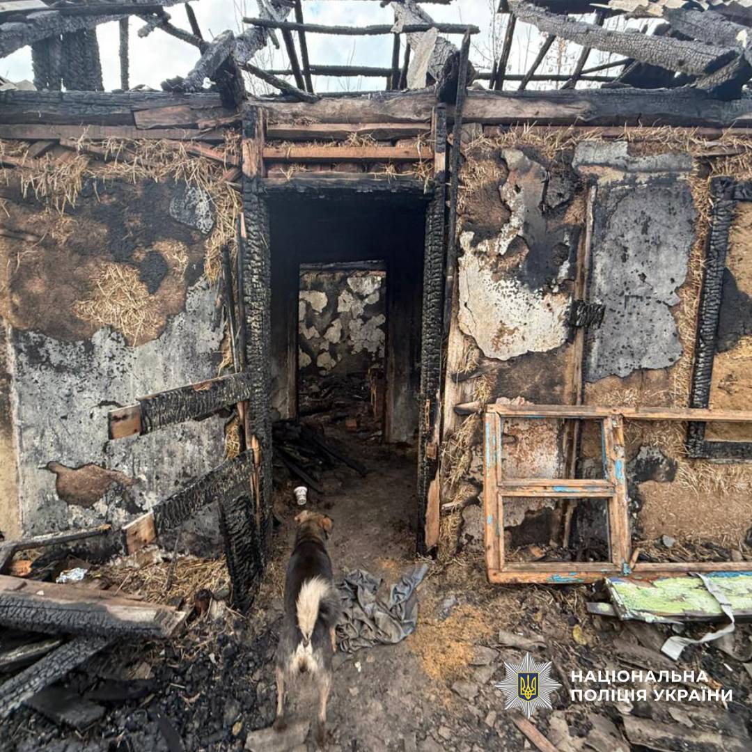 Поліцейські документують наслідки ворожих обстрілів Харківщини