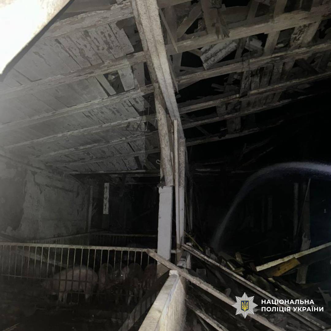 Загинуло четверо людей, є постраждалі: поліція документує воєнні злочини окупантів на Харківщині