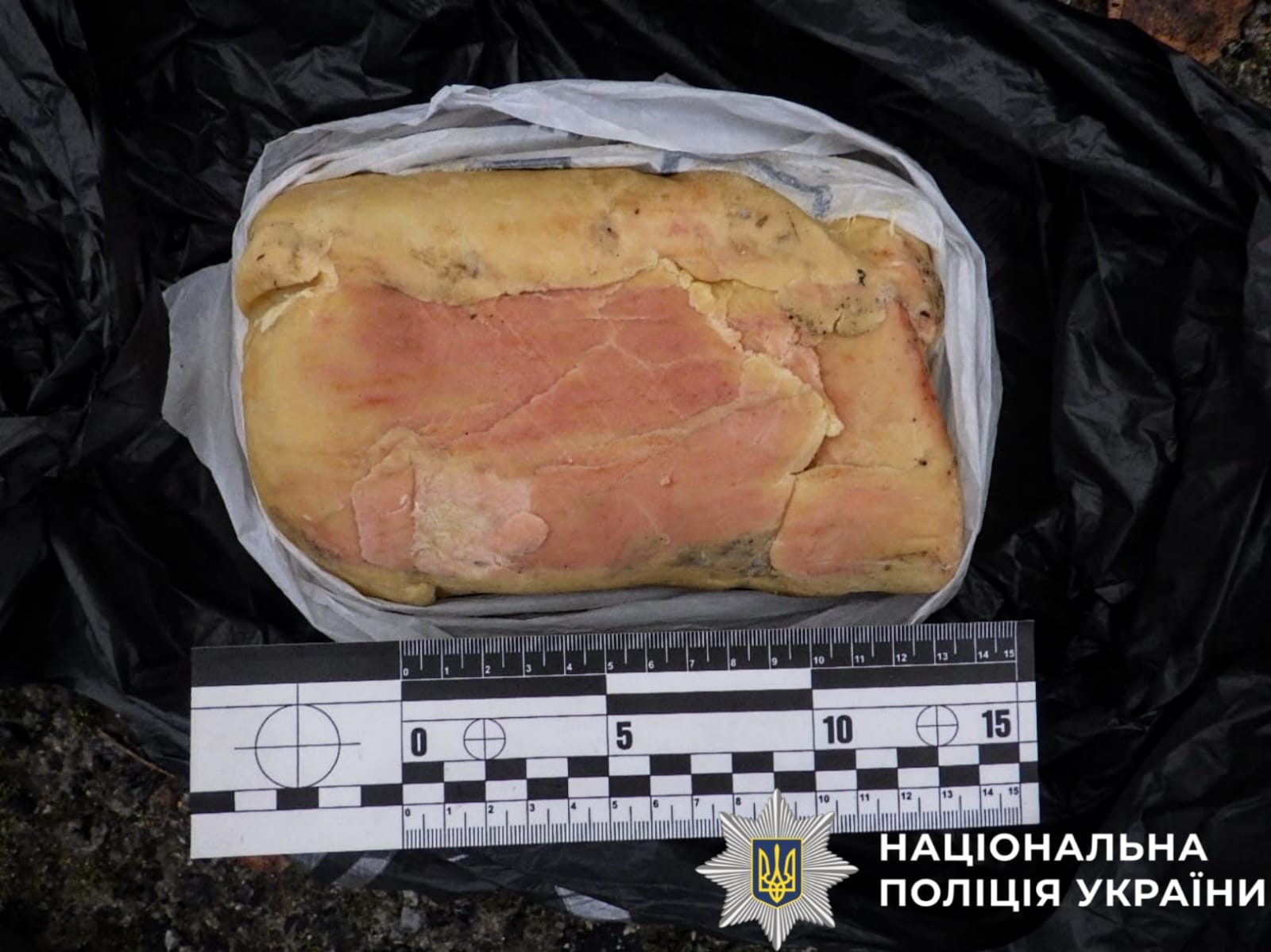 На  фото зображена вилучена вибухівка.