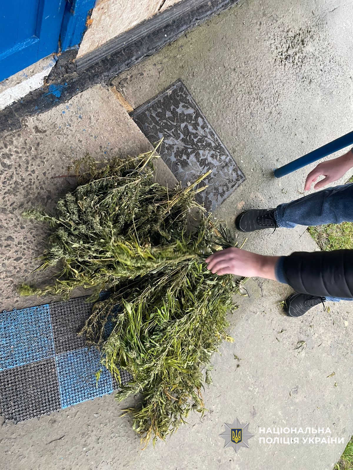 На фотографії зображено виявлені та вилучені наркотики.