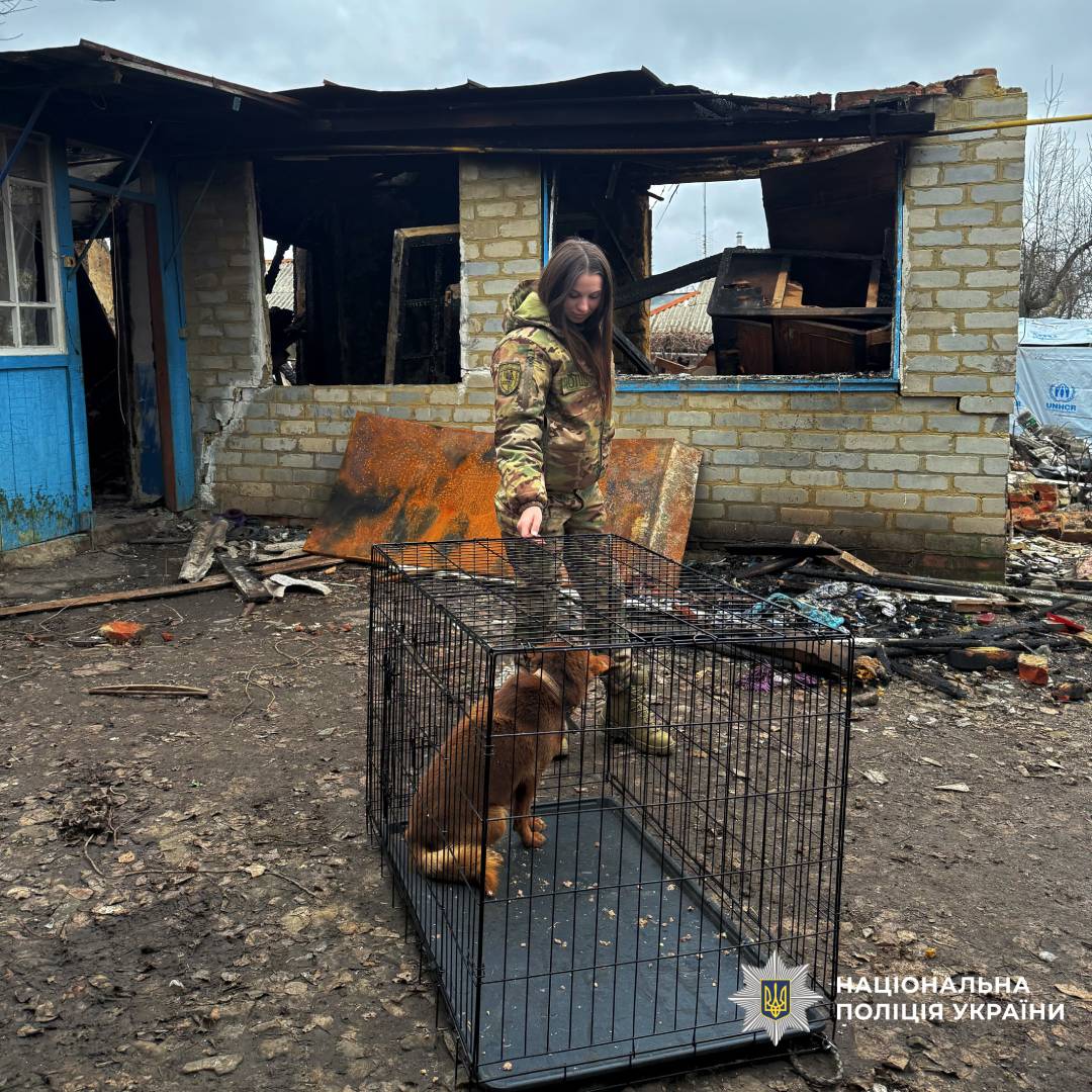 Поліцейські спецпідрозділу «Білий Янгол» та волонтери врятували собаку з прифронтового Куп’янського напрямку в Міжнародний день волонтера