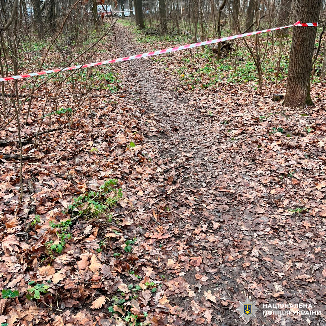 На зображенні зафіксована лісова стежка, перекрита сигнально-обмежувальною стрічкою (червоно-білою), що характерно для обмеження доступу до певної ділянки території.